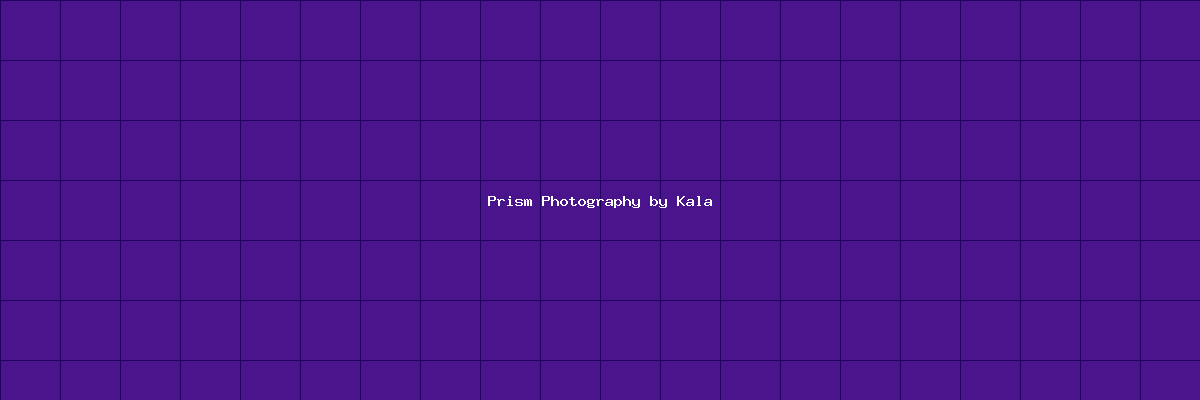 Prism Photography by Kala banner